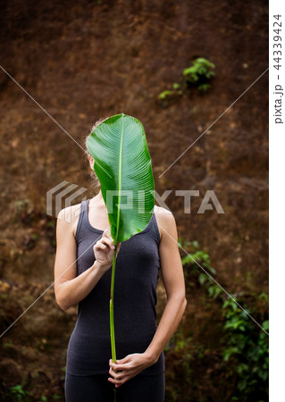 The girl covers her face with a large leaf The girl covers her face with a large leaf 44339424
