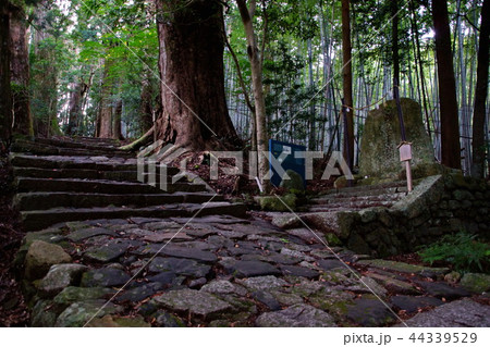 熊野古道 大門坂 那智山 石段 / 多富気王子 ( 和歌山県 東牟婁郡 那智勝浦町 ) 熊野古道 大門坂 那智山 石段 / 多富気王子 ( 和歌山県 東牟婁郡 那智勝浦町 ) 44339529