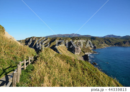 神威岬 積丹町 神威岬 積丹町 44339813