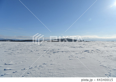 厳冬の雪原 44340015
