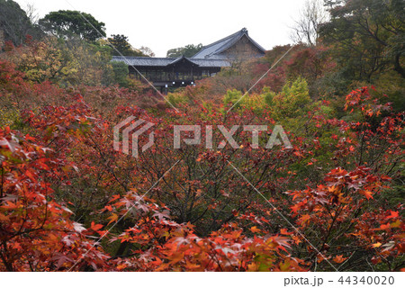 東福寺　通天橋 44340020