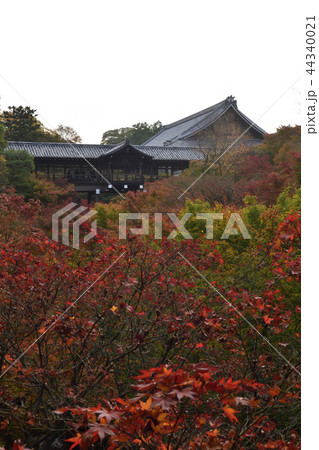 東福寺　通天橋 44340021