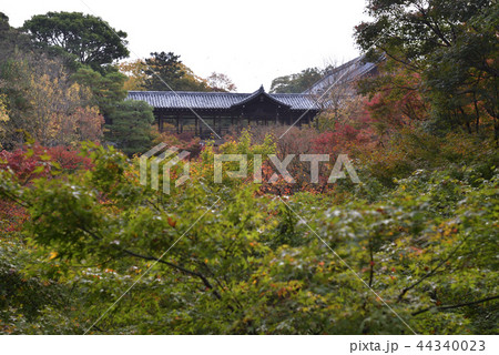 東福寺 通天橋 東福寺 通天橋 44340023