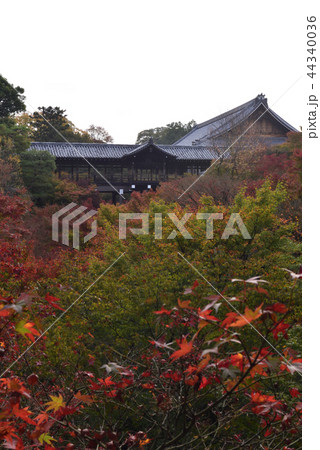 東福寺　通天橋 44340036