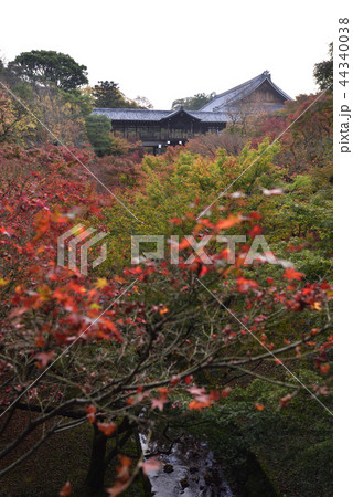 東福寺　通天橋 44340038