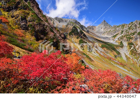 槍ヶ岳　秋・紅葉 44340047