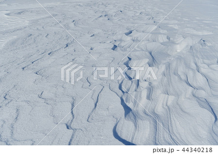 雪原の紋様 44340218