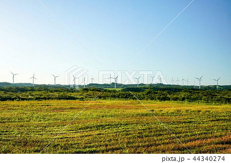 風力発電の並ぶ街 44340274