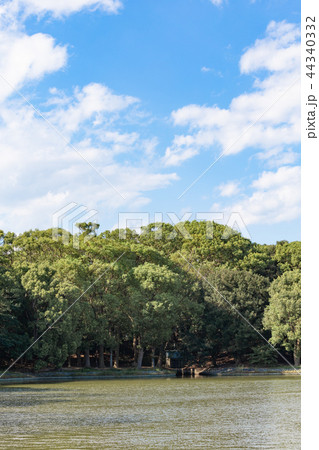 秋の明石城の池 44340332