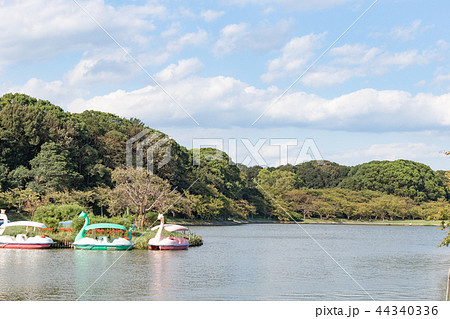 秋の明石城の池 44340336