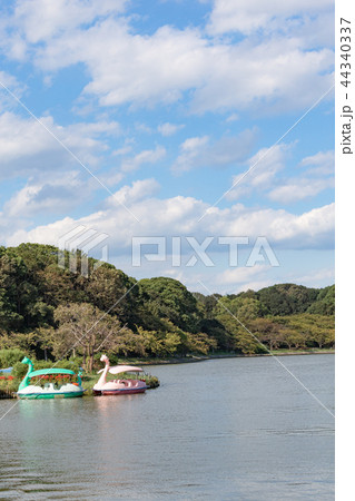 秋の明石城の池 44340337