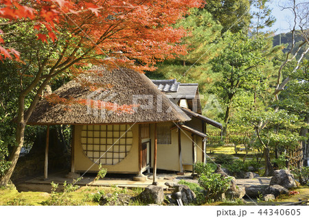 紅葉の茶室 44340605