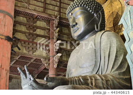 奈良の大仏 44340615