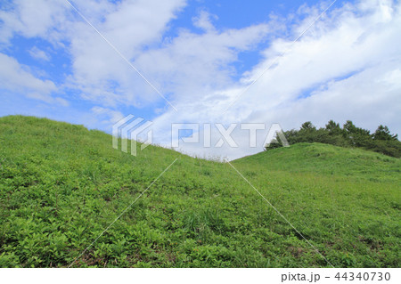 国史跡　弘法山古墳 44340730