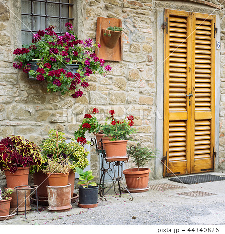 Beautiful flowers in front of stone wall, Italy 44340826