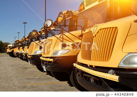 The raw of yellow school buses 44340849