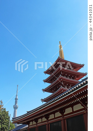 五重塔とスカイツリー 浅草寺 五重塔とスカイツリー 浅草寺 44341031
