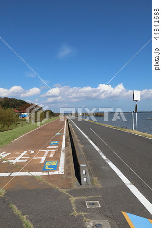 つくば霞ヶ浦りんりんロード、かすみがうら市風景 44341683