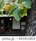 春蘭亭 44341869