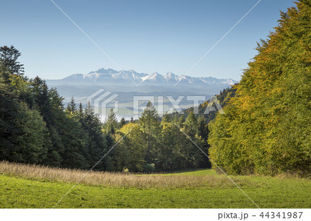 View on Tatra mountains from Pieniny, Poland 44341987