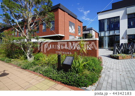 都市風景　横浜　ベイエリアの商業施設（オープンモール）のエントランス 44342183