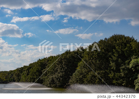 秋の明石城のお堀 44342370