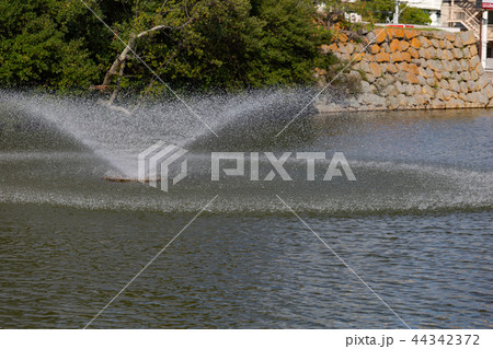 秋の明石城のお堀 秋の明石城のお堀 44342372