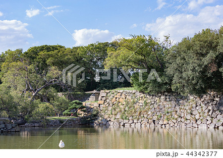 秋の明石城のお堀 44342377