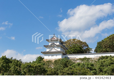 秋の明石城の櫓 44342463