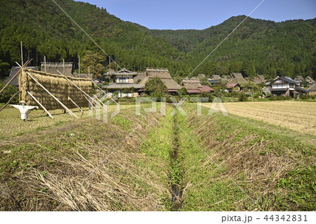 里山の収穫 里山の収穫 44342831