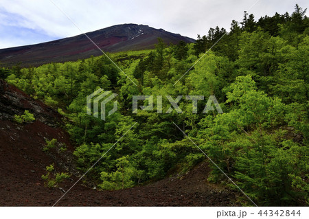 富士山お中道御庭の噴火口跡 富士山お中道御庭の噴火口跡 44342844