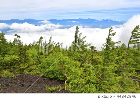 富士山お中道御庭から南アルプスと雲海 44342846