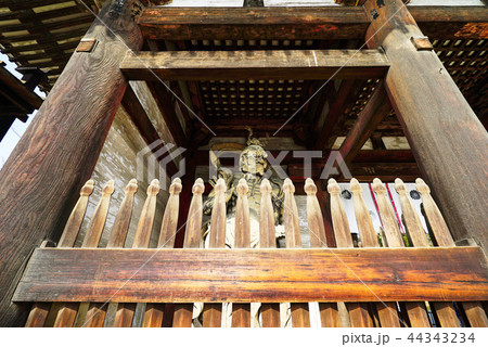 京都　仁和寺　二王門（仁王門）の二王像 44343234
