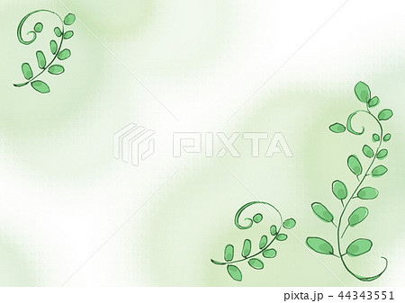 植物 グリーン 背景 背景素材 やさしい さわやか エコ デザイン ポスターのイラスト素材