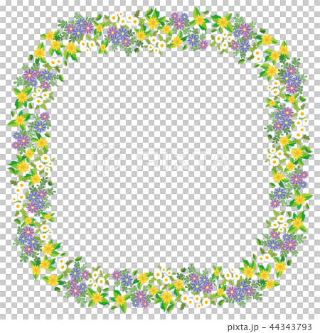 花圓角方形框架（北極，非洲雛菊，melanpodium） 44343793