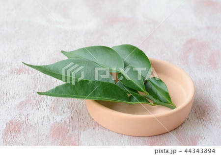 ユズの葉（アゲハの食草） 44343894