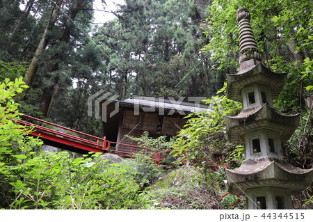 名草厳島神社ー本殿 名草厳島神社ー本殿 44344515