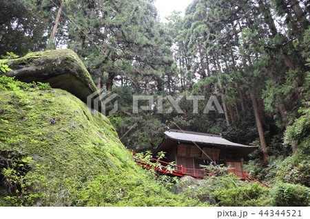 名草厳島神社ー境内 44344521