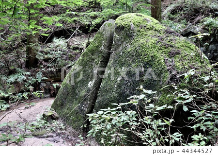 名草厳島神社（弁慶の割石） 44344527