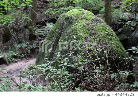 名草厳島神社（弁慶の割石） 44344528