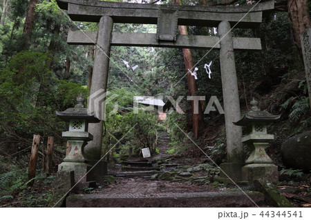 名草厳島神社 44344541