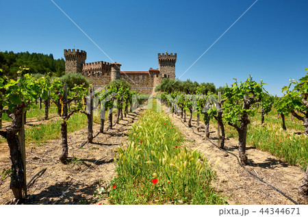 Vineyards with castle in California Vineyards with castle in California 44344671