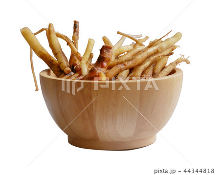 Boesenbergia rotunda (L.) Mansf. (Finger Root) 44344818