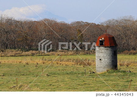 北海道　宗谷地方　牧草畑に残る古いサイロ 44345043