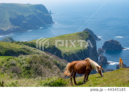 隠岐の島 西ノ島町 隠岐の島 西ノ島町 44345185