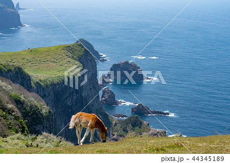 隠岐の島　西ノ島町 44345189