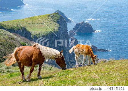 隠岐の島　西ノ島町 44345191