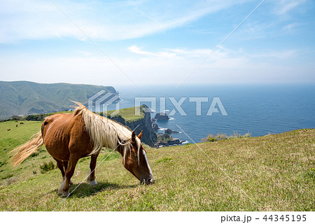 隠岐の島　西ノ島町 44345195