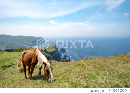 隠岐の島　西ノ島町 44345200