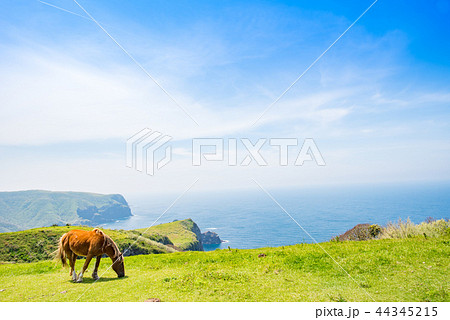 隠岐の島　西ノ島町 44345215